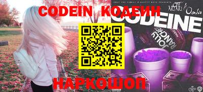a pvp Камышлов