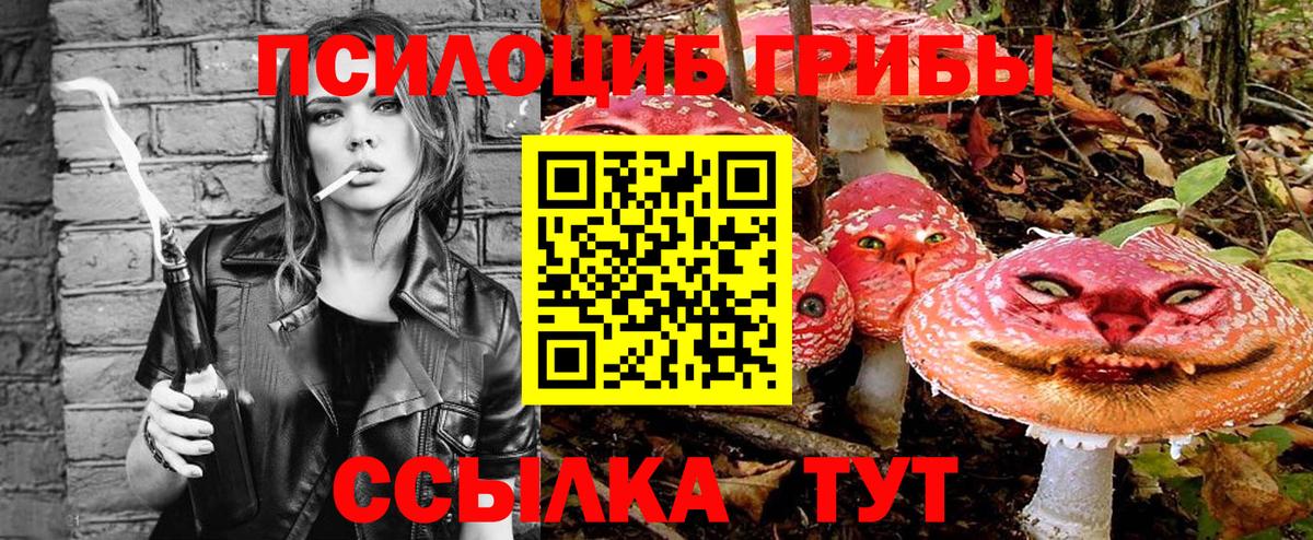 Галлюциногенные грибы мицелий  Псилоцибиновые грибы MAGIC MUSHROOMS  Вход с VPN  Курчатов 