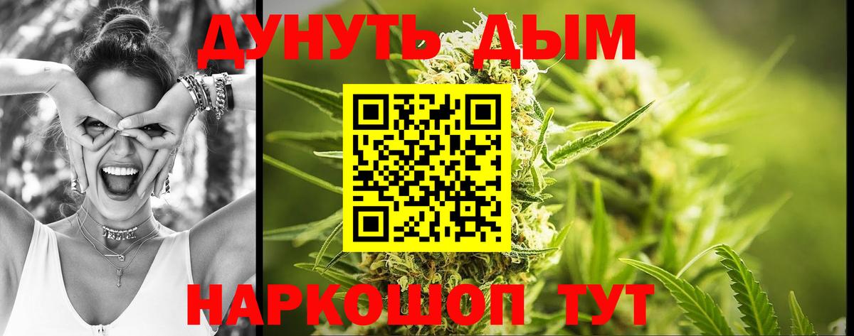 Конопля индика Курчатов